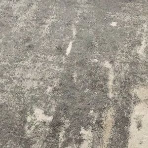 Meet your Posher, Celia